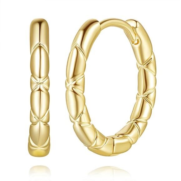 14K Gold Hoop Earrings Huggie Hoop Earrings Small Hoops Earring for Women